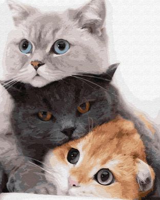Картина за номерами "Котики-муркотики" BrushMe полотно на підрамнику 40x50см PGX34826 в інтернет-магазині "Я - Picasso"