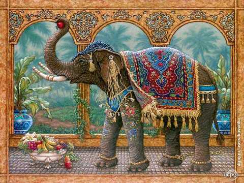 Слон Слон индийский Раскраски антистресс а4