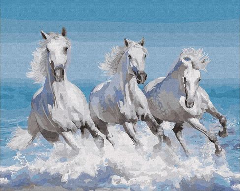 Картина за номерами "Стрімка хвиля " Ідейка полотно на підрамнику 40x50см KHO4266 в інтернет-магазині "Я - Picasso"