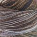 Пряжа Paint Sock 6 PLY/Пейнт Сок 6 PLY, серый-коричневый-зеленый-темно-серый 5, Laines du Nord