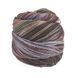 Пряжа Paint Sock 6 PLY/Пейнт Сок 6 PLY, серый-коричневый-зеленый-темно-серый 5, Laines du Nord