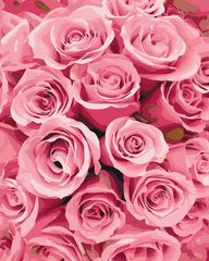 Картина по номерам "Троянди з мрій" Brushme 40x50см BS52258 в інтернет-магазині "Я - Picasso"