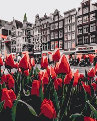 Картина за номерами - Тюльпани Амстердама 40х50 в інтернет-магазині "Я - Picasso"