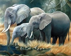 Алмазная мозаика "Семья слонов" Алмазная мозаика 40x50см DM-189 в интернет-магазине "Я - Picasso"