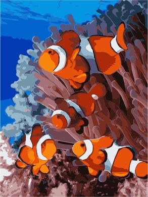 Картина по номерам - Рыбки 30x40см в интернет-магазине "Я - Picasso"