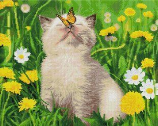 Алмазная мозаика "Котик с бабочкой на носу" BrushMe холст на подрамнике 40x50см GF5439 в интернет-магазине "Я - Picasso"