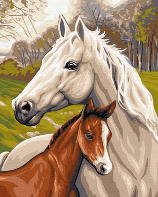 Картина по номерам "Семья лошадей" BrushMe холст на подрамнике 40x50см GX33101 в интернет-магазине "Я - Picasso"