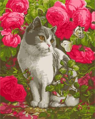 Картина по номерам - Кот в розах 40x50см в интернет-магазине "Я - Picasso"