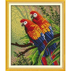Два папуги Набір для вишивання хрестиком з друкованою схемою на тканині Joy Sunday D439 в інтернет-магазині "Я - Picasso"