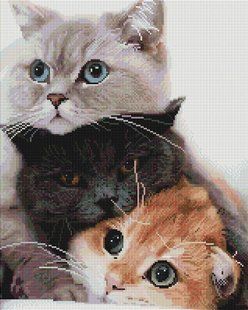 Алмазна мозаїка "Котики-муркотікі" BrushMe 40x50см GF4811 в інтернет-магазині "Я - Picasso"