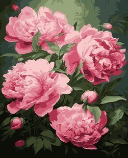Картини за номерами "Півонії" Artissimo полотно на підрамнику 40x50 см PN1988 в інтернет-магазині "Я - Picasso"