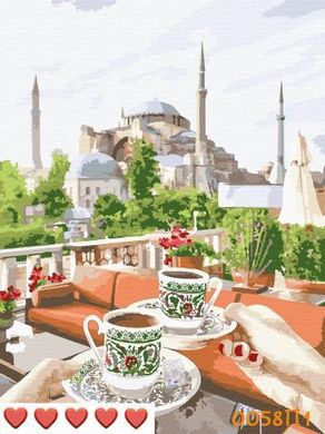 Картини за номерами "Колоритний Стамбул" Барви полотно на підрамнику 40x50 см 0058П1 в інтернет-магазині "Я - Picasso"