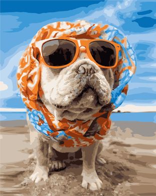 Картина по номерам - Пёс на пляже 40x50см в интернет-магазине "Я - Picasso"