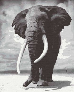 Картина по номерам "Слон" холст на подрамнике 40x50 см RB-0166 в інтернет-магазині "Я - Picasso"
