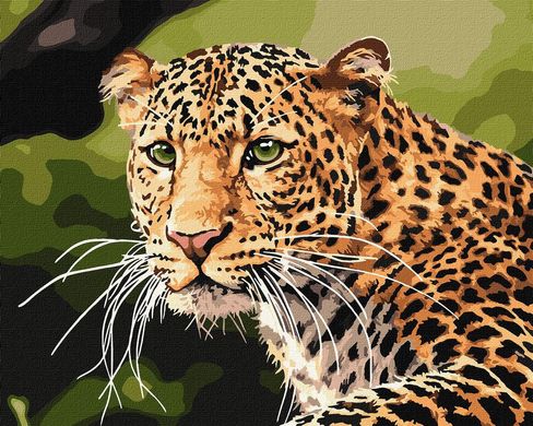 Картина за номерами "Зеленоокий леопард" Ідейка полотно на підрамнику 40x50см KHO4322 в інтернет-магазині "Я - Picasso"