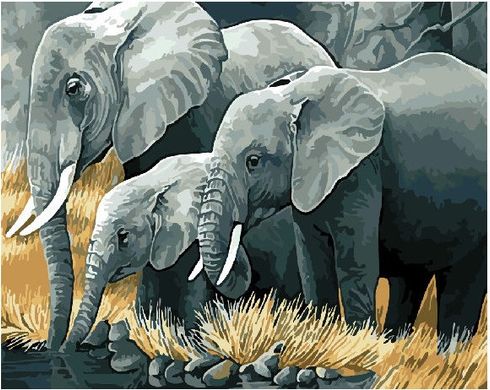 Картина по номерам - Семья слонов 40x50 в интернет-магазине "Я - Picasso"