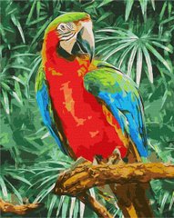 Картина по номерам "Радужный красавец" Идейка полотно на подрамнике 40x50см KHO4473 в интернет-магазине "Я - Picasso"