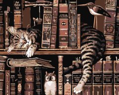 Картина за номерами "Кіт з пташками в книгарні" Origami 40x50 см LW 30300 в інтернет-магазині "Я - Picasso"