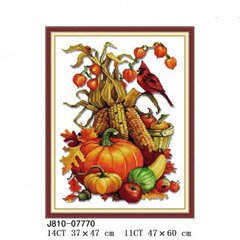 Врожай Набір для вишивання хрестиком з друкованою схемою на тканині Joy Sunday J810 в інтернет-магазині "Я - Picasso"