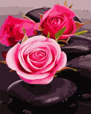 Картина по номерам - Розы на камнях 40х50 в интернет-магазине "Я - Picasso"