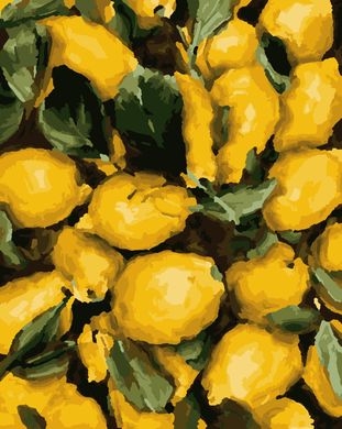 Картини за номерами "Соковиті лимони" Artissimo полотно на подрамнику 50x60 см PNX1235 в інтернет-магазині "Я - Picasso"