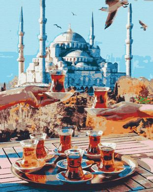 Картина по номерам "Стамбул" холст на подрамнике 40x50 см RB-0034 в интернет-магазине "Я - Picasso"