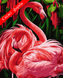 Картины по номерам - Фламинго 50x60 см