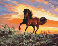 Картина за номерами "Кінь" BrushMe полотно на підрамнику 40x50см BS6943 в інтернет-магазині "Я - Picasso"