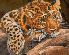 Алмазна картина-розмальовка -Зеленоглазий леопард "BrushMe 3D ефект подарункова коробка 40x50 cм GZS1115 в інтернет-магазині "Я - Picasso"