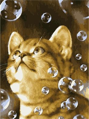 Картина по номерам - Мыльные пузыри 30x40см в интернет-магазине "Я - Picasso"