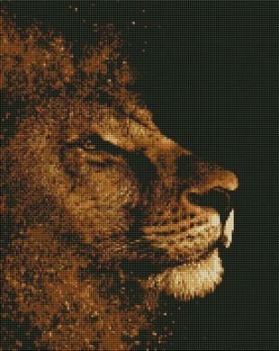 Алмазная мозаика - Золотой лев 40x50 см в интернет-магазине "Я - Picasso"