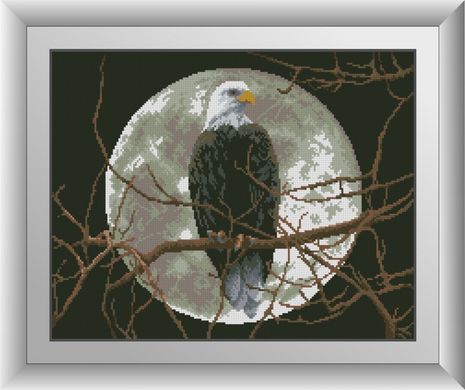 Алмазна мозаїка "Орел під місяцем" Dream Art в коробці 30238 в інтернет-магазині "Я - Picasso"