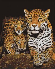 Алмазная мозаика "Ночные леопарды" BrushMe холст на подрамнике 40x50см DBS1085 в интернет-магазине "Я - Picasso"
