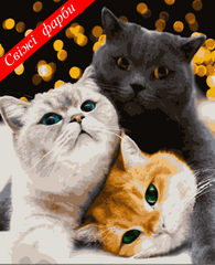 Картини за номерами "Котики-муркотики" Artissimo полотно на підрамнику 40x50 см PN4200 в інтернет-магазині "Я - Picasso"