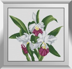 31188 Орхидея каттлея. Dream Art. Набор алмазной живописи (квадратные, полная) в интернет-магазине "Я - Picasso"