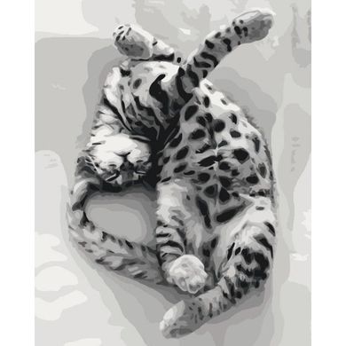 Картина за номерами "Солодкий сон" Ідейка полотно на підрамнику 40x50см КНО4069 в інтернет-магазині "Я - Picasso"