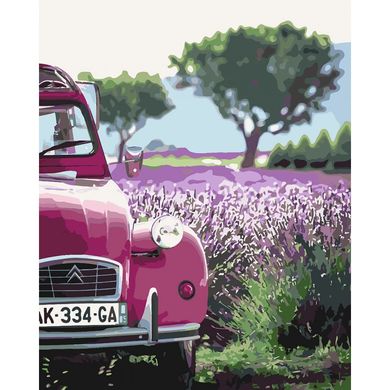 Картина за номерами "Випадкова зупинка" Ідейка полотно на підрамнику 40x50см КНО2264 в інтернет-магазині "Я - Picasso"