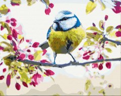 Картина за номерами "Весняна синичка" BrushMe полотно на підрамнику 40х50см BS51439 в інтернет-магазині "Я - Picasso"