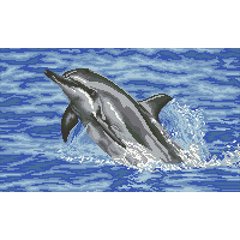 Алмазная мозаика "Дельфин" Алмазная мозаика 50x30см DM-365 в интернет-магазине "Я - Picasso"