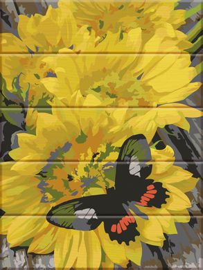 Картина по номерам на дереве - Бабочка на цветах 30x40 см в интернет-магазине "Я - Picasso"