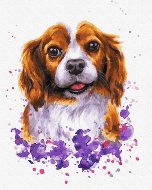 Картина по номерам - Собачка в красках 40x50 в интернет-магазине "Я - Picasso"