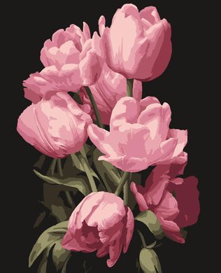Картини за номерами "Тюльпани" Artissimo полотно на підрамнику 40x50 см PN1975 в інтернет-магазині "Я - Picasso"