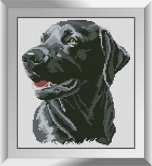 31248 Счастливый пёс. Dream Art. Набор алмазной живописи (квадратные, полная) в интернет-магазине "Я - Picasso"