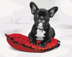 Картина по номерам "Моя любимая собачка" BrushMe 40x50см BS51842 в интернет-магазине "Я - Picasso"