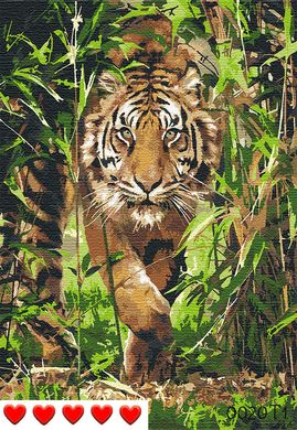 Картини за номерами "Красень-тигр" Барви полотно на підрамнику 40x50 см 0020Т1 в інтернет-магазині "Я - Picasso"
