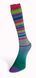 Пряжа Infinity Sock/Інфініті Сок, мультіколор-смуги 19, Laines du Nord