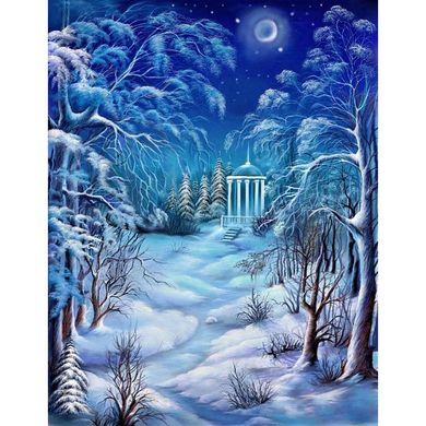 Алмазная мозаика "Зимняя ночь" Алмазная мозаика 40x50см DM-375 в интернет-магазине "Я - Picasso"