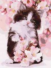 Картина за номерами "Пухнасте кошеня" Ідейка полотно на підрамнику 30х40см KHO4383 в інтернет-магазині "Я - Picasso"