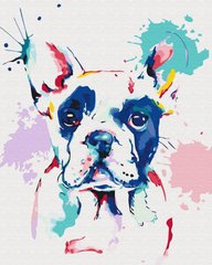 Картина за номерами "Бульдог в фарбах" BrushMe полотно на підрамнику 40x50см GX26787 в інтернет-магазині "Я - Picasso"