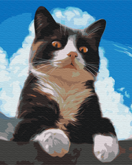 Картина за номерами "Допитливий котик" BrushMe полотно на підрамнику 40х50см BS51941 в інтернет-магазині "Я - Picasso"